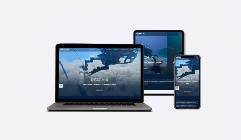 ecoBees - development of reachrobotics website